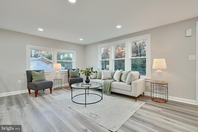 living room with light wood-type flooring and plenty of natural light