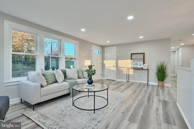 living room featuring light wood-type flooring