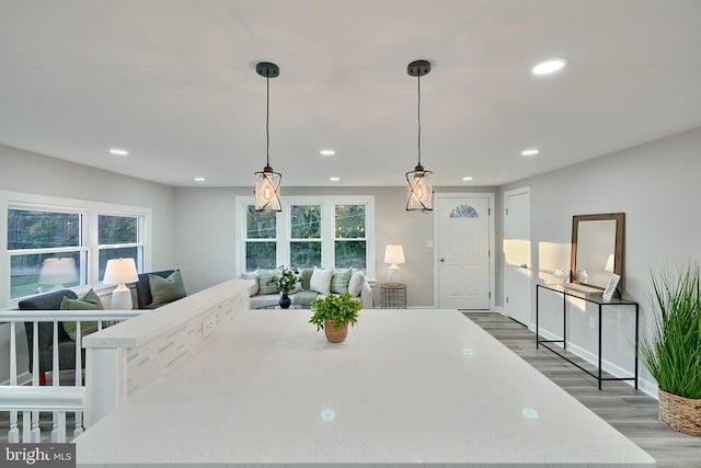 dining area featuring dark wood-type flooring