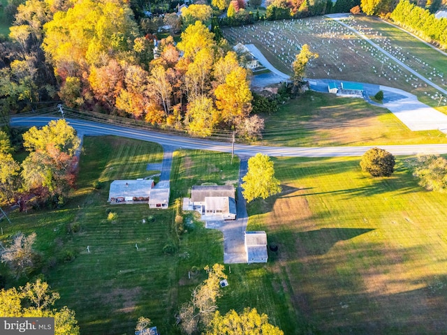 bird's eye view