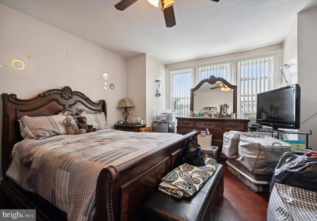 1337 S 54th St, Philadelphia, PA 19143 - bedroom with ceiling fan, multiple windows, and wood finished floors
