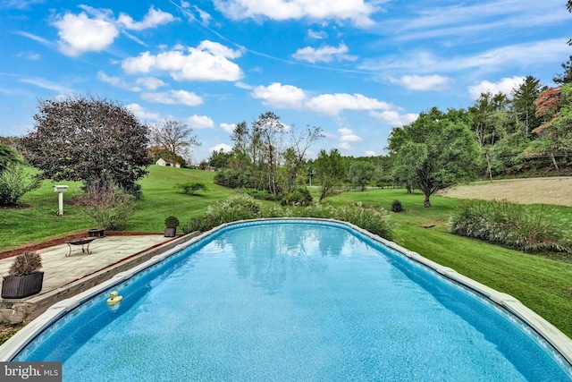 view of swimming pool with a yard and a patio