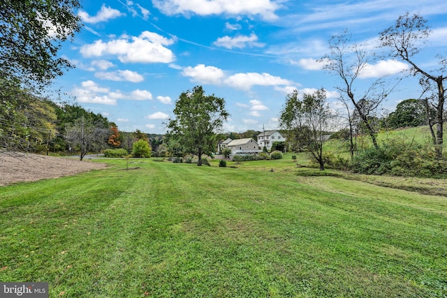 view of yard