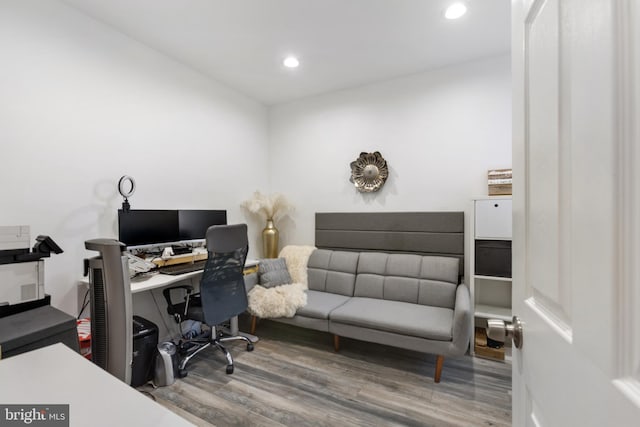 office space featuring wood-type flooring