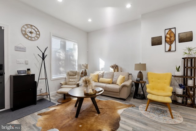 living room featuring light hardwood / wood-style floors