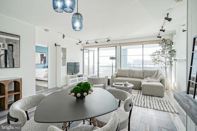 living room with rail lighting, light wood-type flooring, and a wealth of natural light