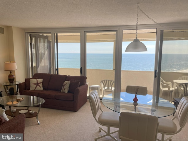 carpeted dining space featuring plenty of natural light, a textured ceiling, and a water view