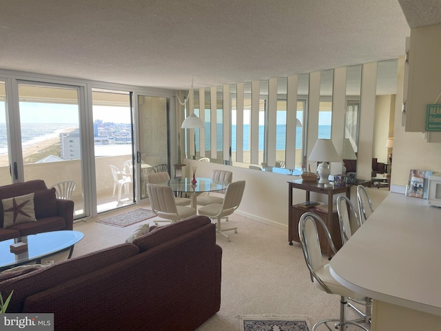 carpeted living room featuring a textured ceiling and a water view