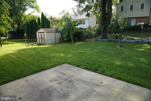 view of yard with a patio and a storage unit