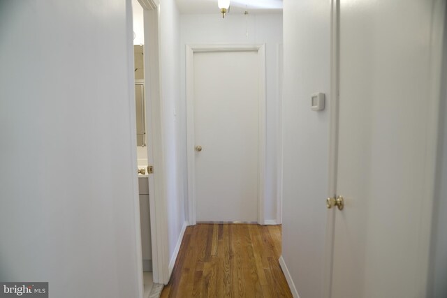 corridor featuring wood-type flooring