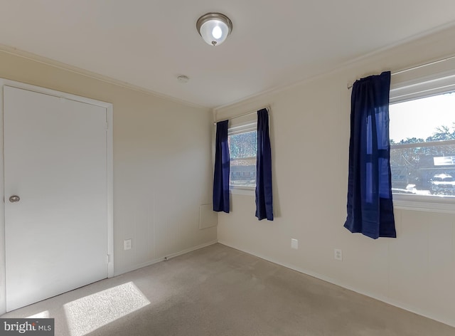 carpeted empty room featuring ornamental molding and a wealth of natural light