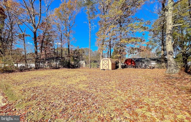 view of yard with a storage shed