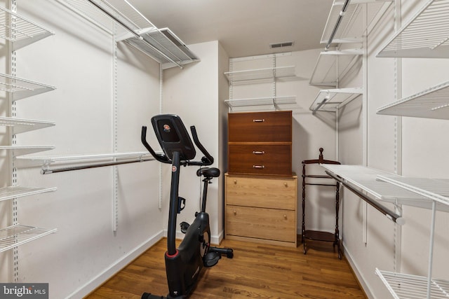 spacious closet featuring dark wood-type flooring