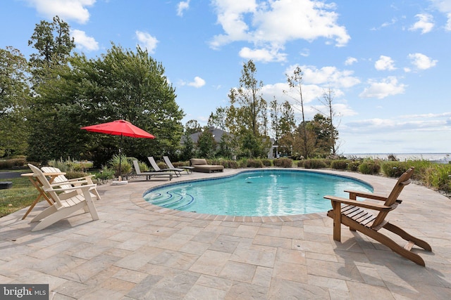 view of pool featuring a patio