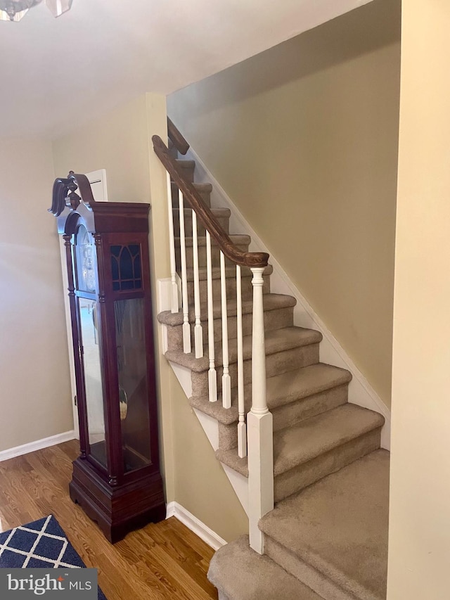 staircase with wood-type flooring