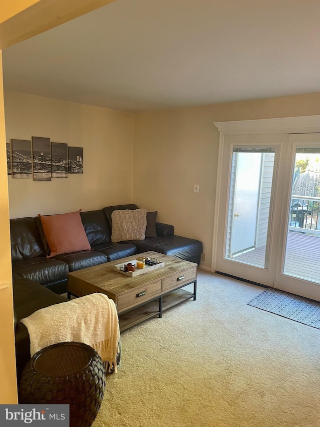 view of carpeted living room