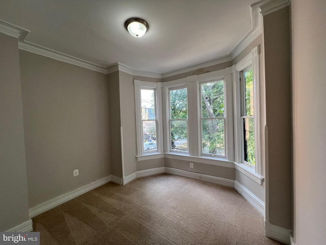 empty room featuring crown molding and carpet flooring