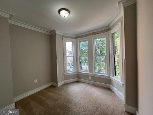 empty room with a wealth of natural light, baseboards, and ornamental molding