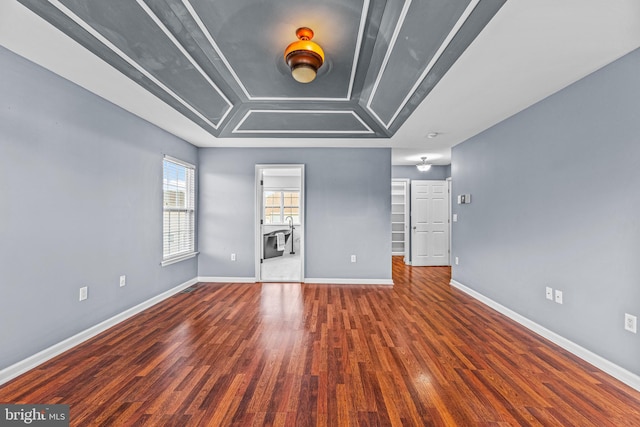 unfurnished room with a raised ceiling and wood-type flooring