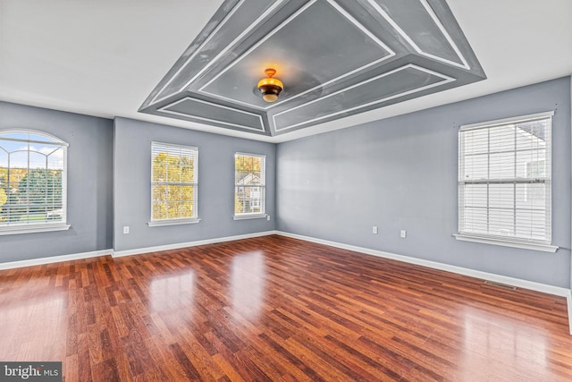 spare room featuring hardwood / wood-style flooring and a tray ceiling