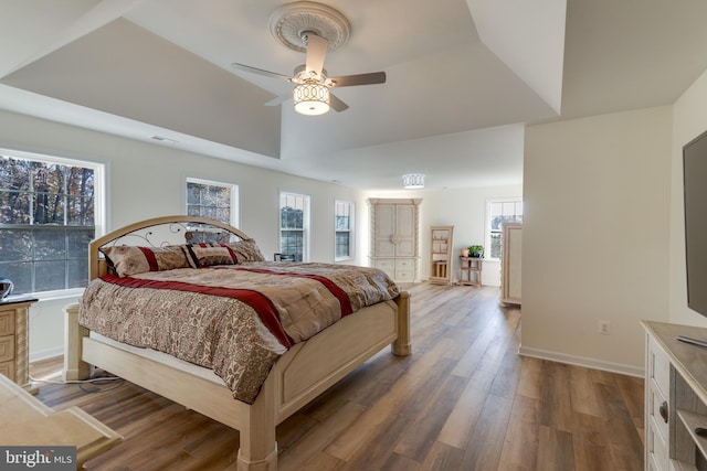 bedroom featuring a tray ceiling, multiple windows, ceiling fan, and hardwood / wood-style flooring