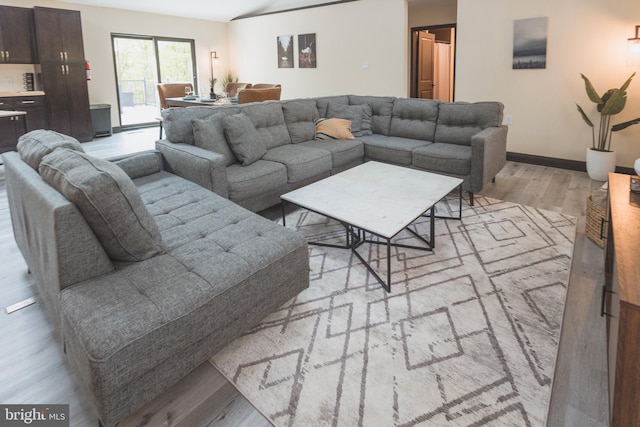 living room with light hardwood / wood-style flooring