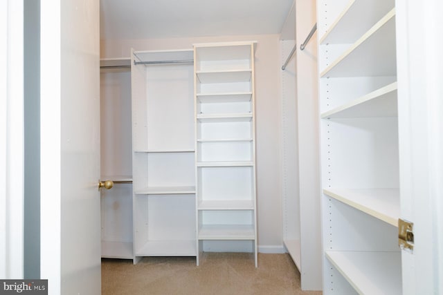 spacious closet featuring light colored carpet