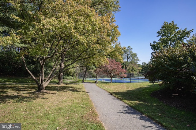 surrounding community featuring a lawn