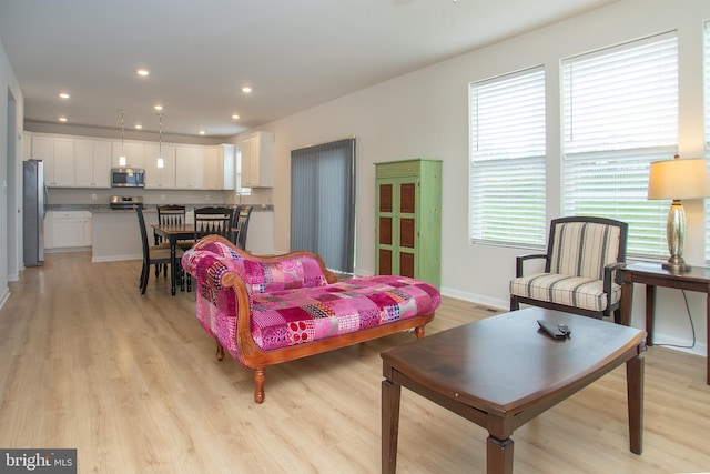 living room with light wood-type flooring