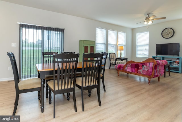 dining space with ceiling fan and light hardwood / wood-style flooring