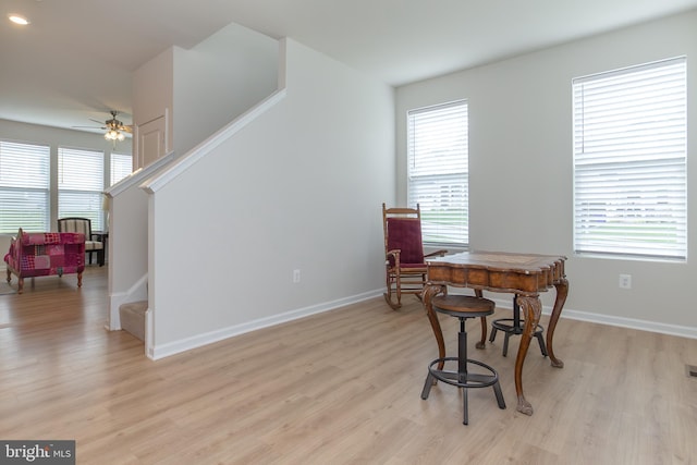 office featuring plenty of natural light and light hardwood / wood-style floors