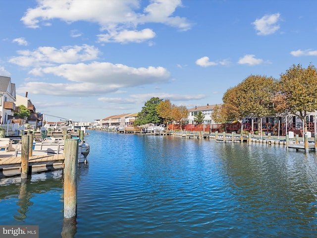 dock area with a water view