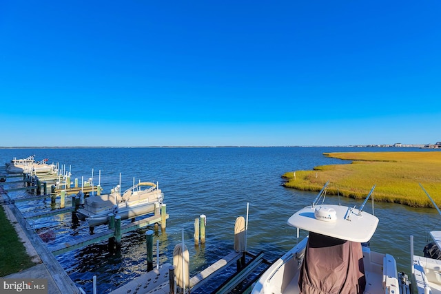 dock area with a water view