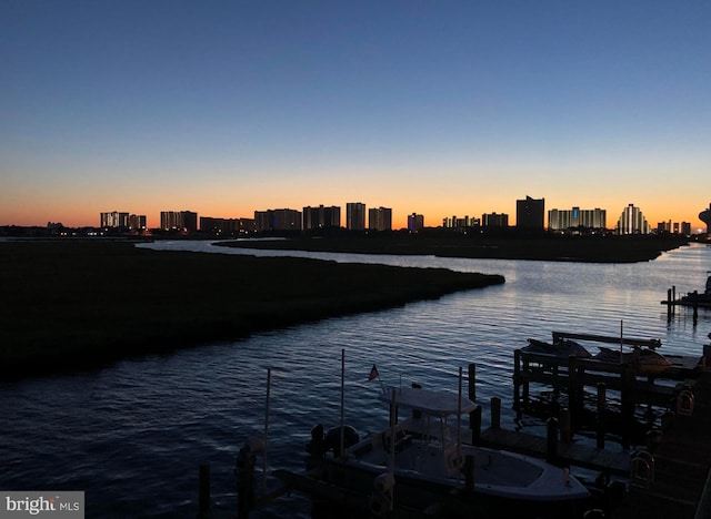 water view featuring a boat dock