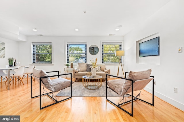 living room featuring light hardwood / wood-style floors