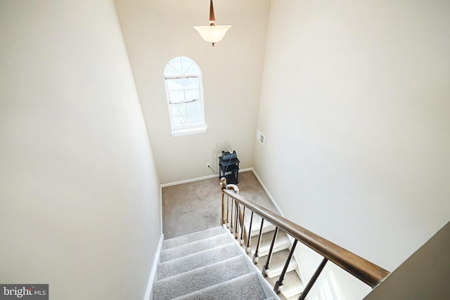 staircase with carpet flooring