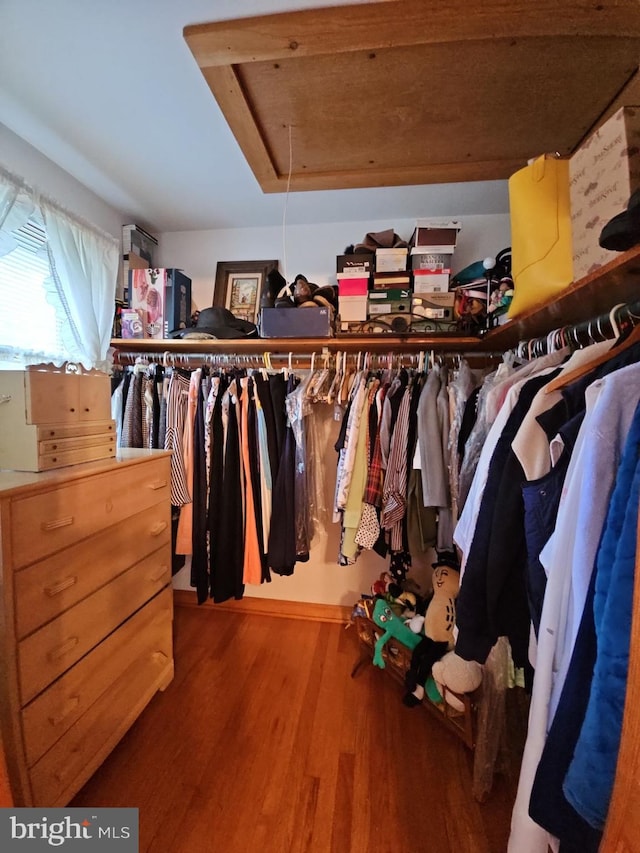 spacious closet with wood-type flooring