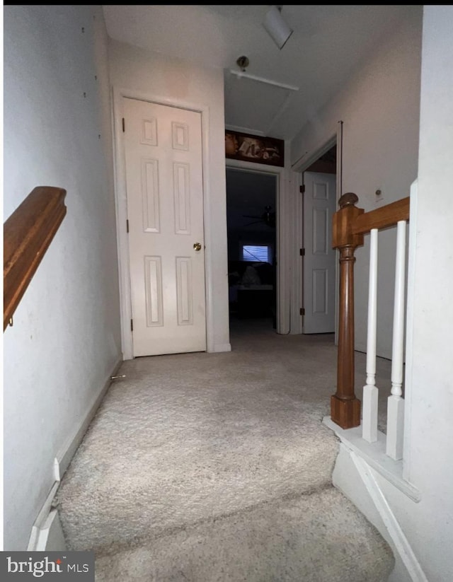 hall featuring carpet floors