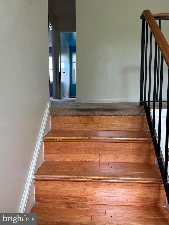 stairs with hardwood / wood-style flooring