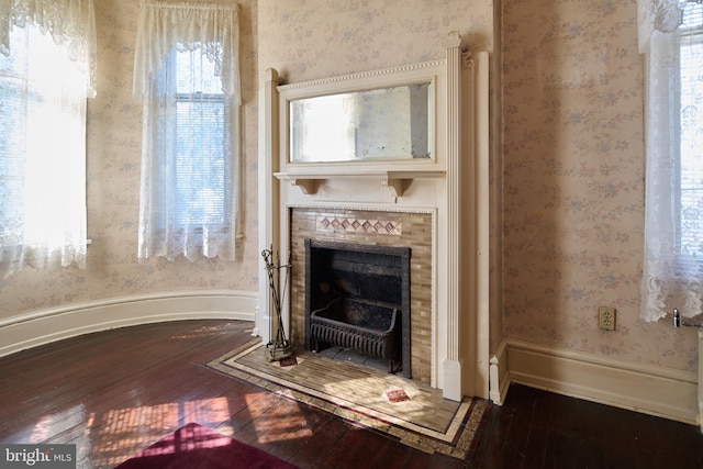 details featuring wood-type flooring and a fireplace