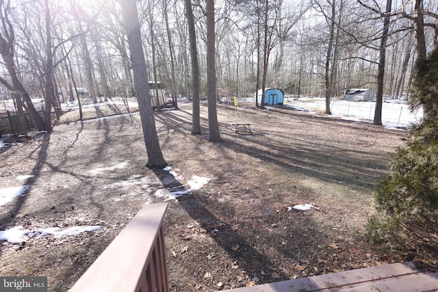 view of yard with a storage shed