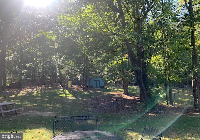 view of yard with a storage shed