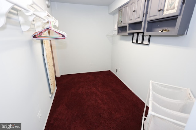 walk in closet with dark colored carpet