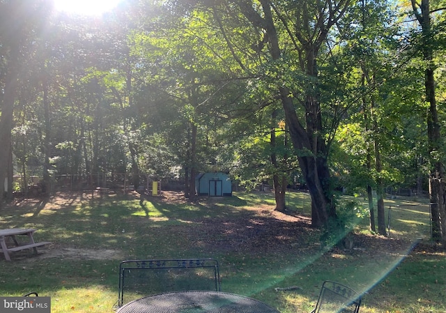 view of yard featuring a storage shed