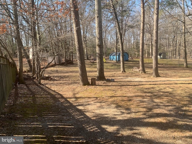 view of yard with a storage shed