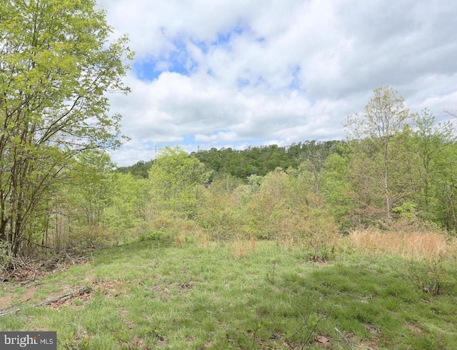 Pennsylvania Ave, Hancock MD, 21750 land for sale