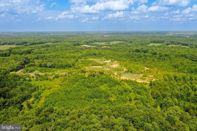 55 Brickyard Rd, Woodstown, NJ 08098 - bird's eye view of a forest