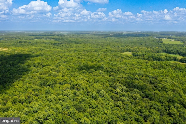 55 Brickyard Rd, Woodstown, NJ 08098 - bird's eye view of a heavily wooded area
