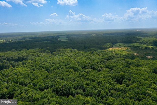 55 Brickyard Rd, Woodstown, NJ 08098 - aerial view of a forest