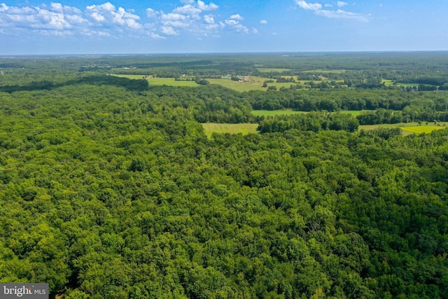 55 Brickyard Rd, Woodstown, NJ 08098 - aerial view of a heavily wooded area